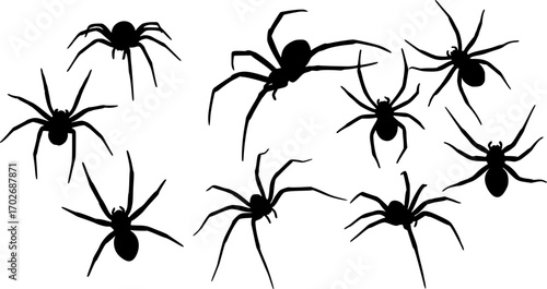 set of black spiders silhouette vector on white background
