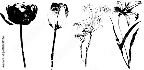Black ink silhouette set of classic flowers: rose, tulip, lily, and wildflower for design