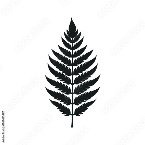 Fern frond
