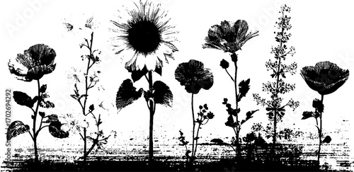 Black ink floral silhouette set for decorative design projects