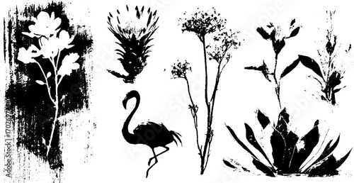 Black ink silhouette of exotic plants and flamingo elements for creative designs