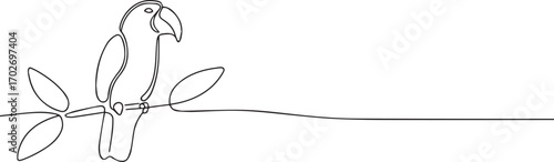 Parrot bird one continuous line art, Vector illustration, One line art, Line art graphic style
