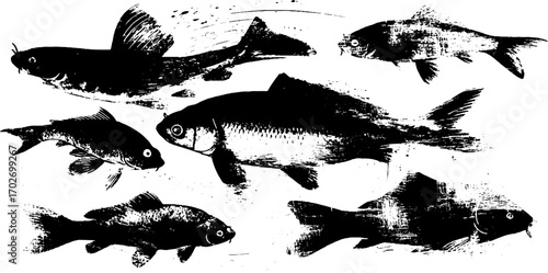 Black ink silhouette set of koi and carp goldfish for artistic design
