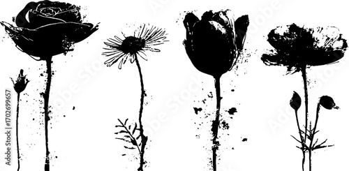 Black ink silhouette of flowers: rose, peony, and daisy for artistic designs