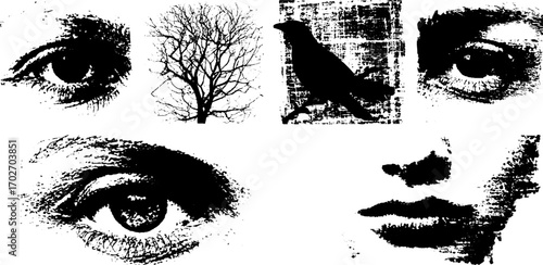 Grunge ink silhouettes set: eyes, tree, crow, and face elements for urban art design