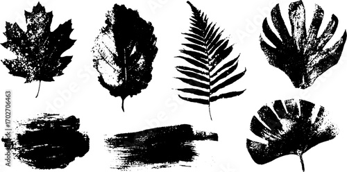 Black ink silhouette set of oak and maple leaves