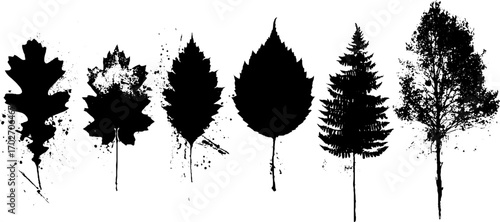 Black ink silhouette set of oak, maple, and birch leaves with splatter effects