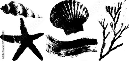 Black ink silhouette set of marine shapes with starfish and seashells for coastal design