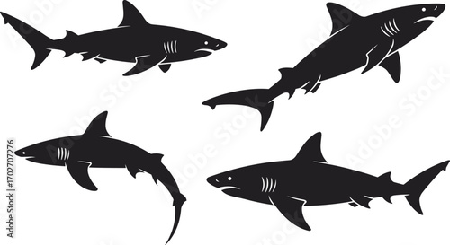 Silhouette illustrations of four different shark species in various swimming poses against a white background
