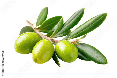 Wallpaper Mural Close-up of fresh green olives on a branch with leaves Torontodigital.ca