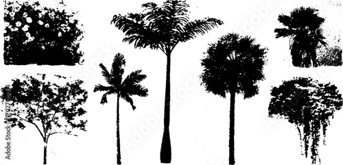 Tropical jungle palm tree silhouettes set in black ink for nature design