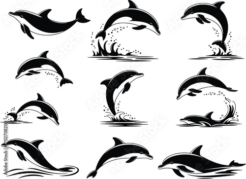 Dynamic Dolphin Sketches A Collection of Aquatic Leaps and Playful Marine Life in Black and White