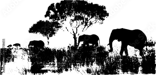 Silhouette landscape of savanna with acacia trees and elephants for nature design
