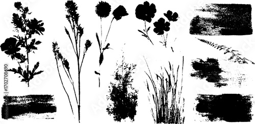 Black ink silhouette set of spring flowers and nature elements for design