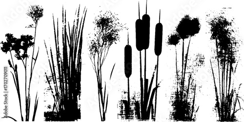 Black ink silhouette collection of swamp reed and water plants for nature design