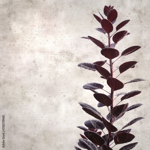  old paper background
