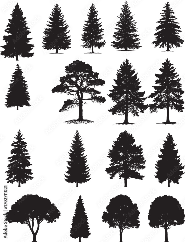 Obraz premium Pine tree silhouette set, fir tree vector, evergreen clipart, coniferous tree illustration, forest tree outlines, black tree icons