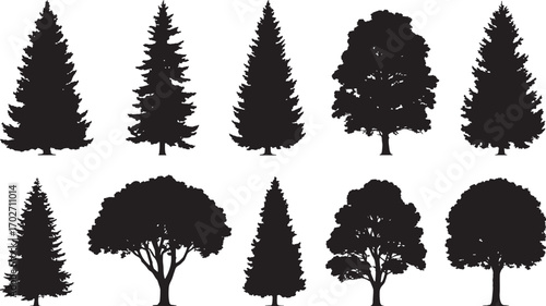 Trees silhouettes. Forest and park pines firs and spruces, coniferous and deciduous trees. Vector isolated retro images nature set