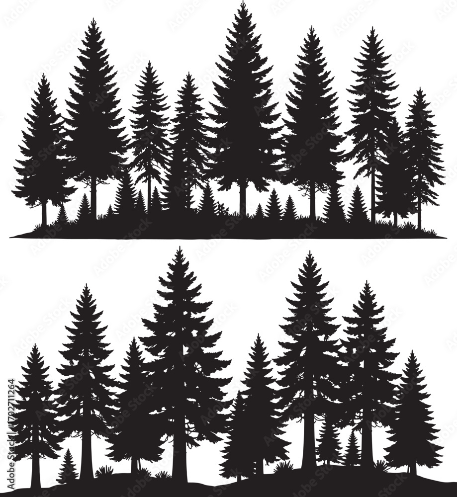 Obraz premium Vector art of a silhouette of a dense forest of pine and evergreen trees isolated on a transparent background