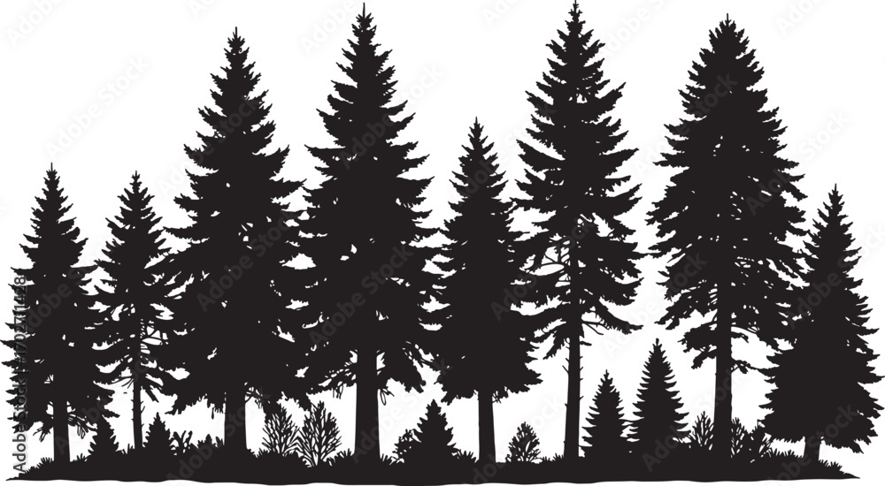 Obraz premium Vector art of a silhouette of a dense forest of pine and evergreen trees isolated on a transparent background