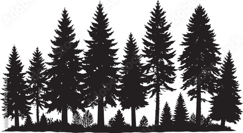 Vector art of a silhouette of a dense forest of pine and evergreen trees isolated on a transparent background