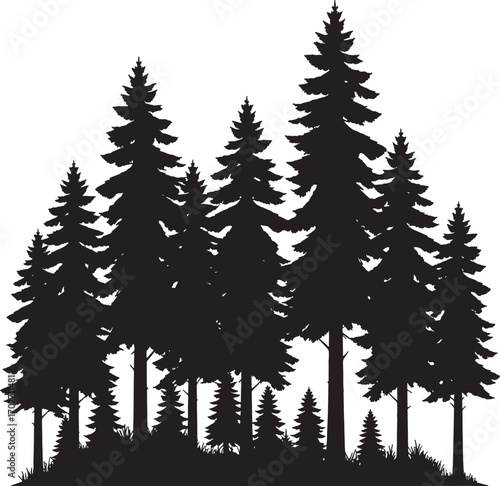 Vector art of a silhouette of a dense forest of pine and evergreen trees isolated on a transparent background