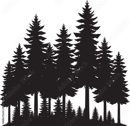 Vector art of a silhouette of a dense forest of pine and evergreen trees isolated on a transparent background