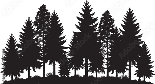 Dense Pine Forest Silhouette Vector with Trees, Branches, and Nature Background