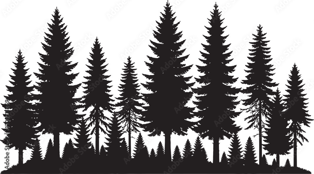 Fototapeta premium Dense Pine Forest Silhouette Vector with Trees, Branches, and Nature Background