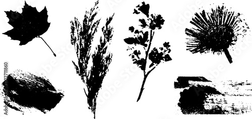 Black ink silhouette set of autumn nature elements for creative designs