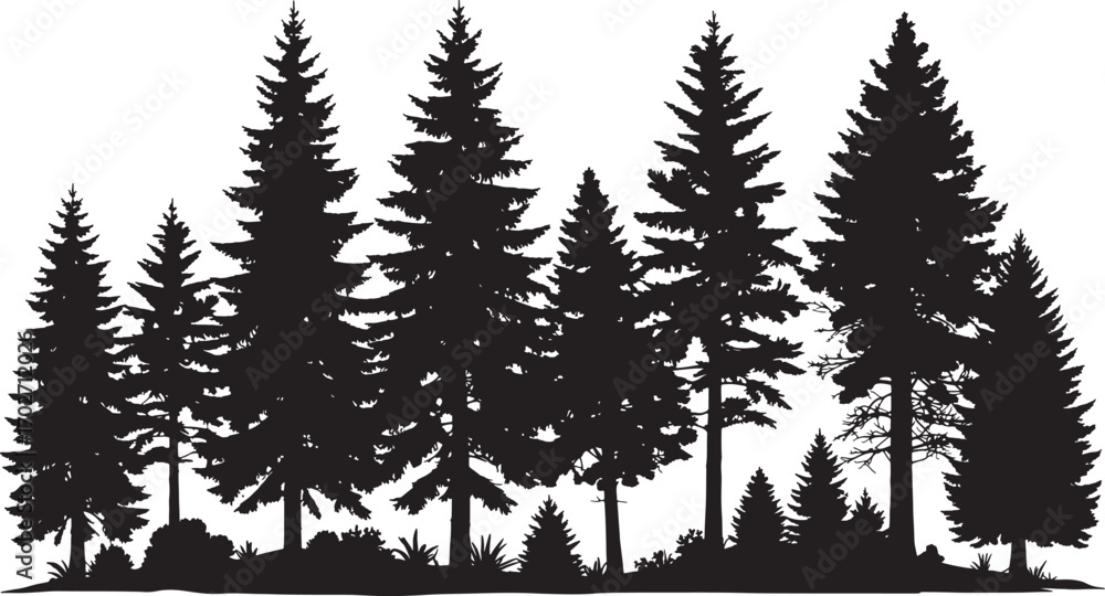 Obraz premium Vector art of a dense silhouette of various pine trees isolated on a transparent background
