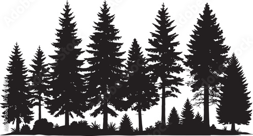 Vector art of a dense silhouette of various pine trees isolated on a transparent background