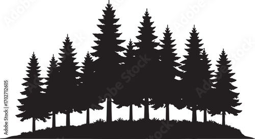 Vector art of a dense silhouette of various pine trees isolated on a transparent background