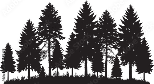 Vector art of a dense silhouette of various pine trees isolated on a transparent background