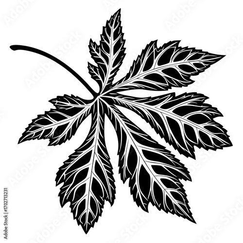 A striking black and white silhouette of a detailed castor bean leaf with intricate veins and serrated edges isolated on a clean white background