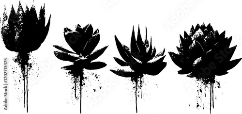 Black ink silhouette set of succulents with aloe and agave for urban art design