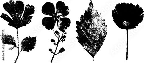 Vintage botanical ink silhouette set for design and decoration