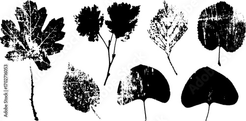 Vintage black ink silhouette collection of leaf stamps for creative design projects