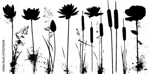 Black ink silhouette of water plants and lotus flowers for artistic design