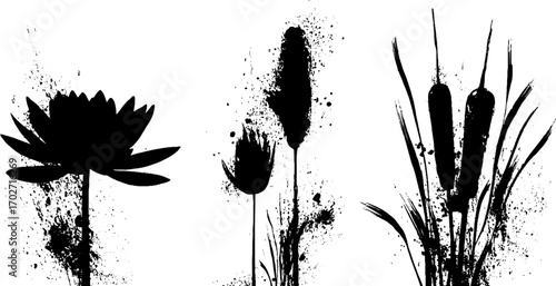 Black ink silhouettes of water plants set with lotus and splatter effects for creative design