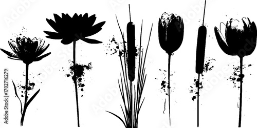 Black ink silhouette collection of water plants and lotus set for artistic design