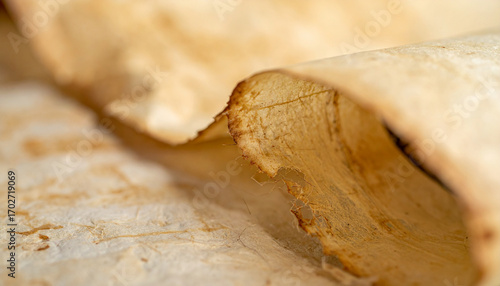 Torah Scroll Macro Closeup of Rolled Edges and Fibers. Jewish festival concept. Generated Image