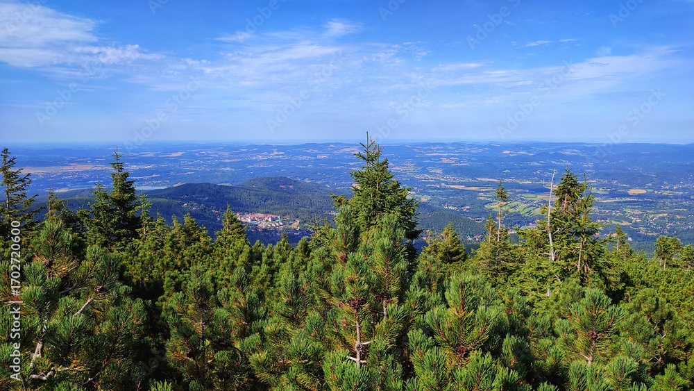 Fototapeta premium Widok na góry