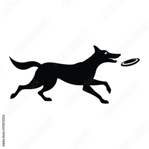 dog sprinting with frisbee in mouth
