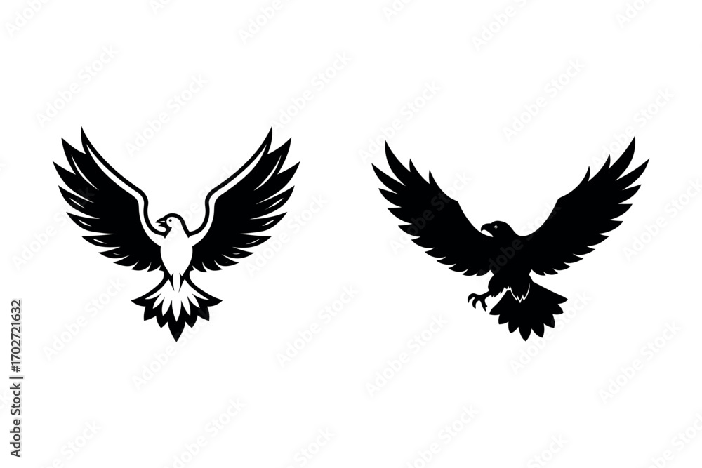 Obraz premium two birds in flight captured in artistic silhouette