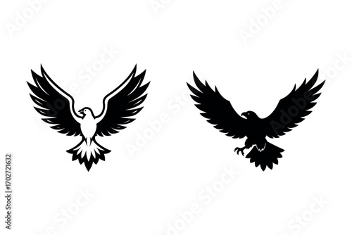 two birds in flight captured in artistic silhouette