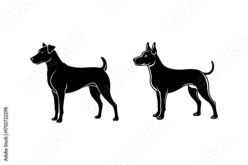 two dogs standing side by side in black silhouette
