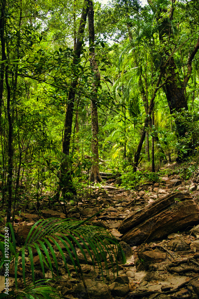 Obraz premium Dry, stoney riverbed in the jungle of the remote Kakadu National Park, Northern Territory, Australia. Along the Kubara Pools Walk 