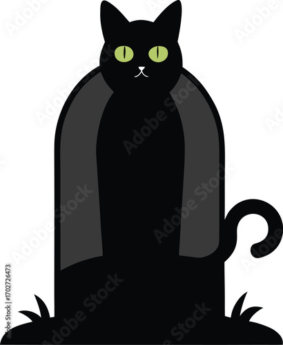 black cat on a white background