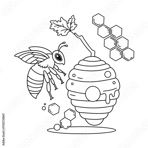 Charming line art of a honeybee, beehive, and honeycomb cells for coloring